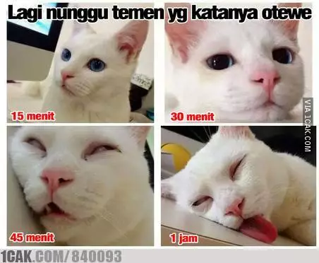 meme OTW berbagai sumber