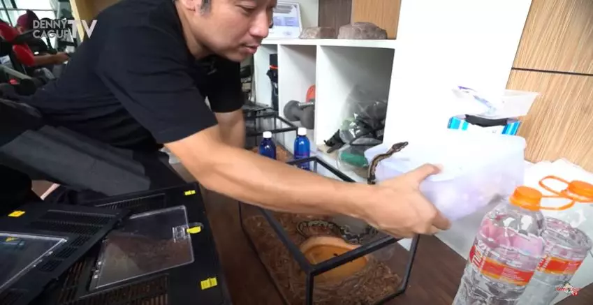 YouTube DENNY CAGUR TV, © 2020 brilio.net