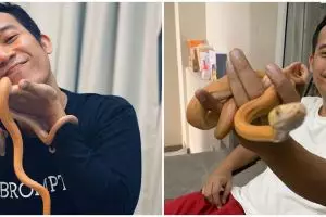10 Penampakan koleksi ular piton Denny Cagur, seharga puluhan juta