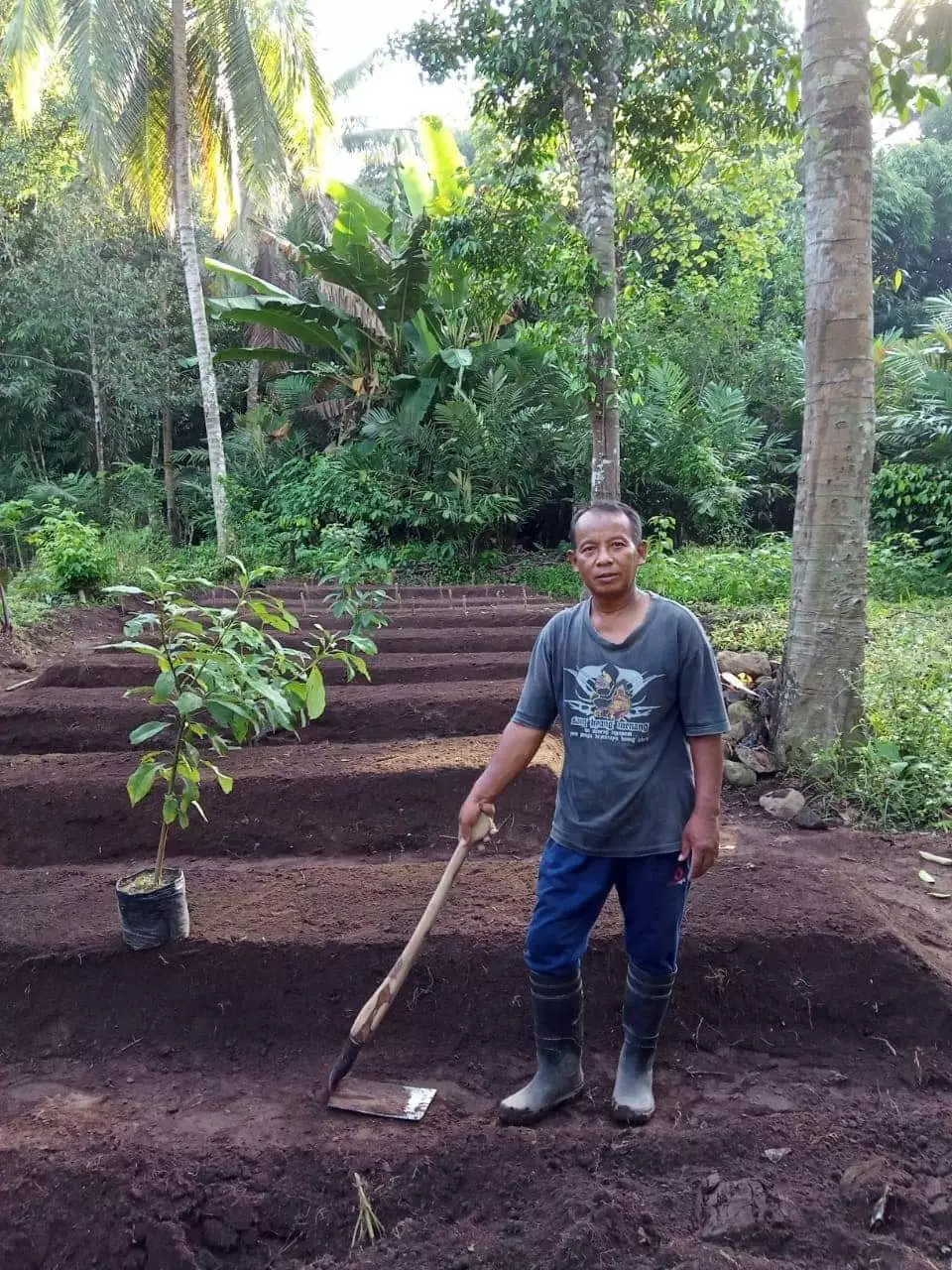 alumni fisipol ugm jadi petani Twitter