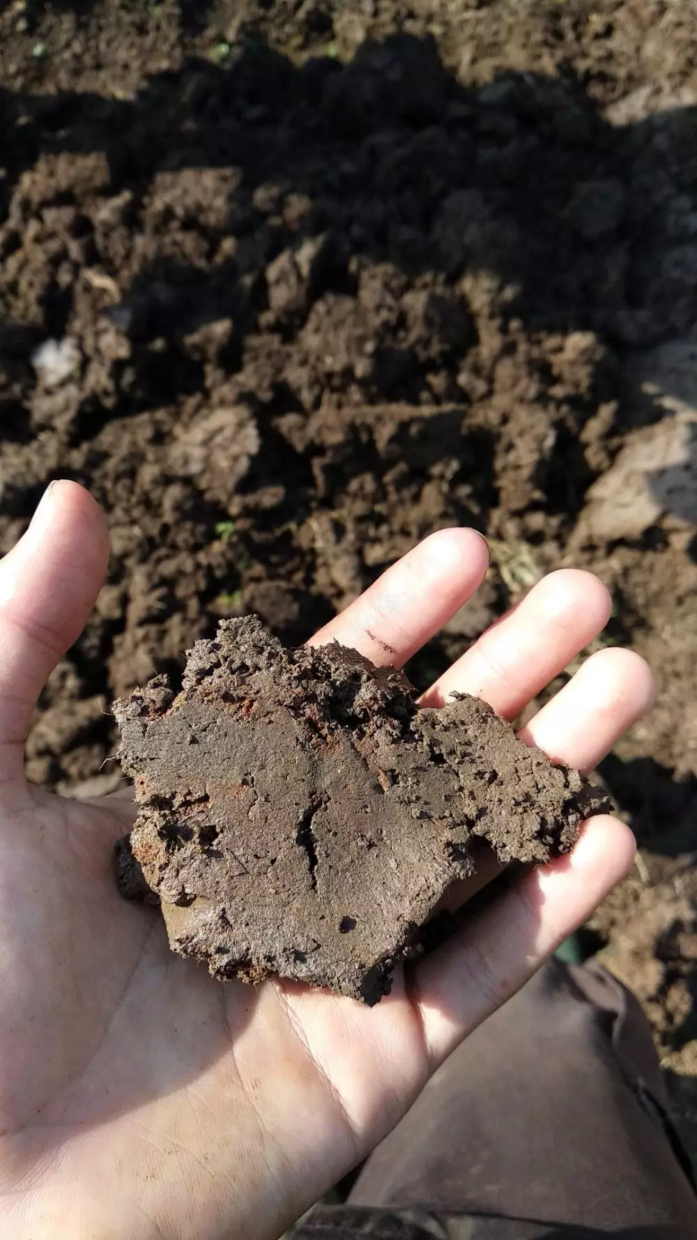 alumni fisipol ugm jadi petani Twitter