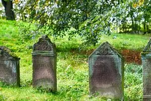 Viral penemuan 9 bangkai ayam dikubur berbentuk pocong di Kudus