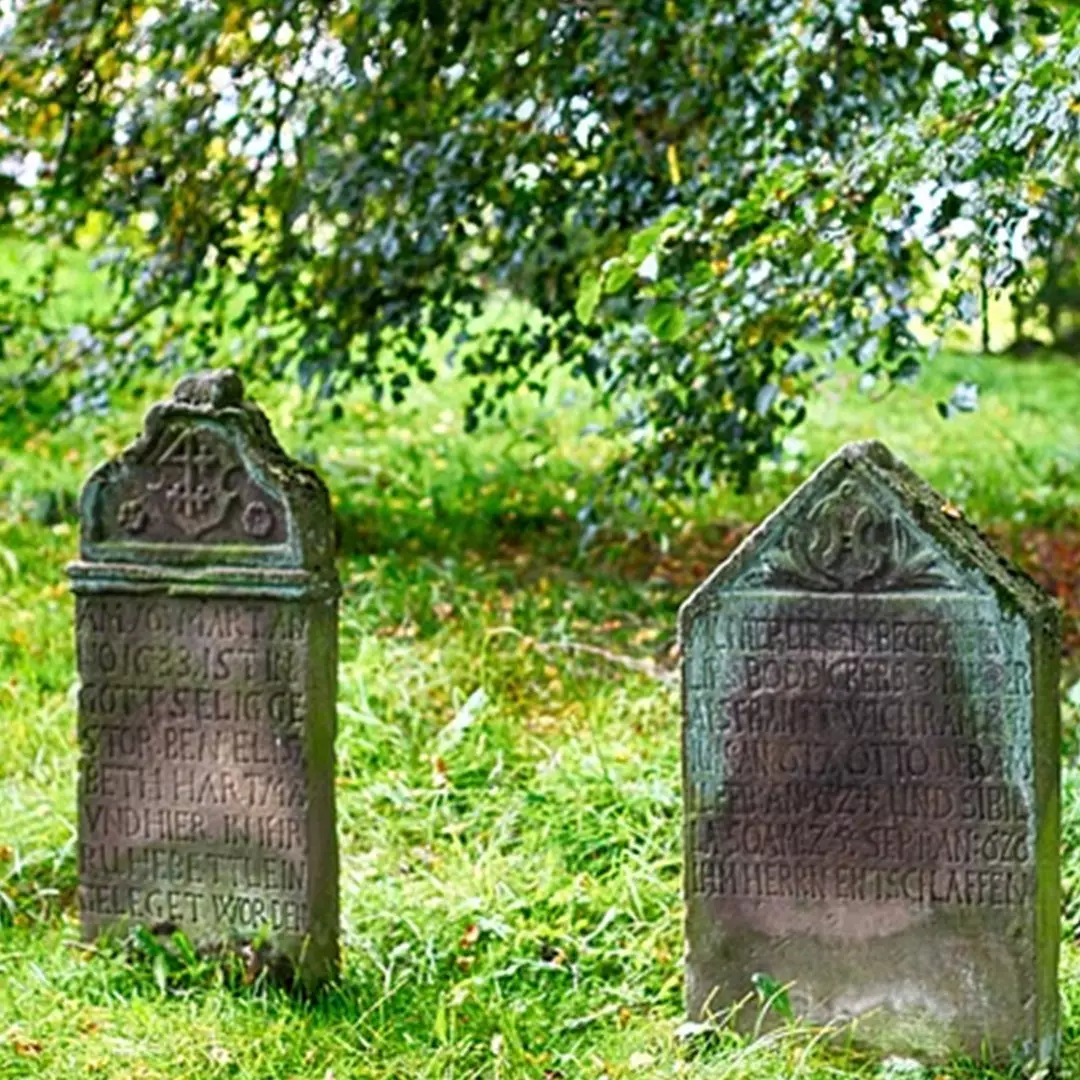 Viral penemuan 9 bangkai ayam dikubur berbentuk pocong di Kudus