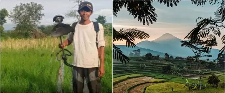Bukan sarjana pertanian, 3 orang ini jadi petani usai lulus kuliah