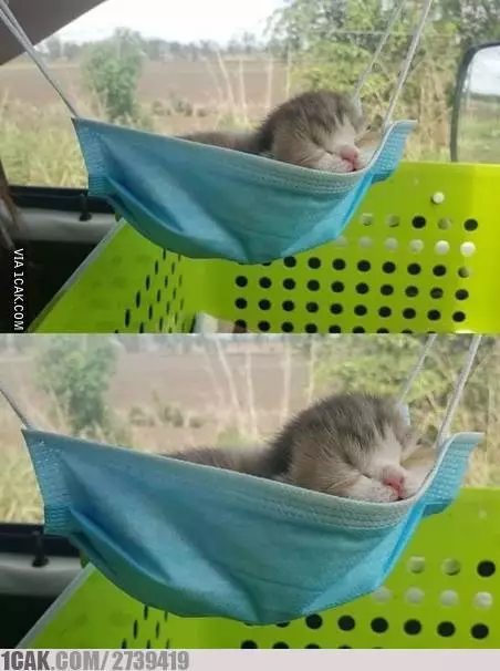 10 Kondisi lucu new normal ini bikin ketawa © 2020 brilio.net