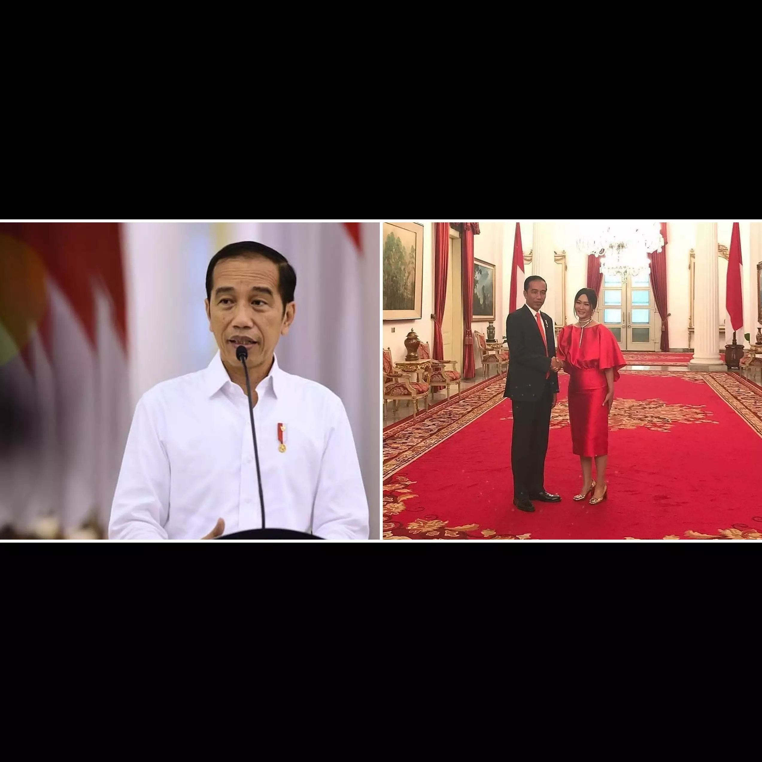 Presiden Jokowi ulang tahun ke-59, 6 seleb beri ucapan selamat
