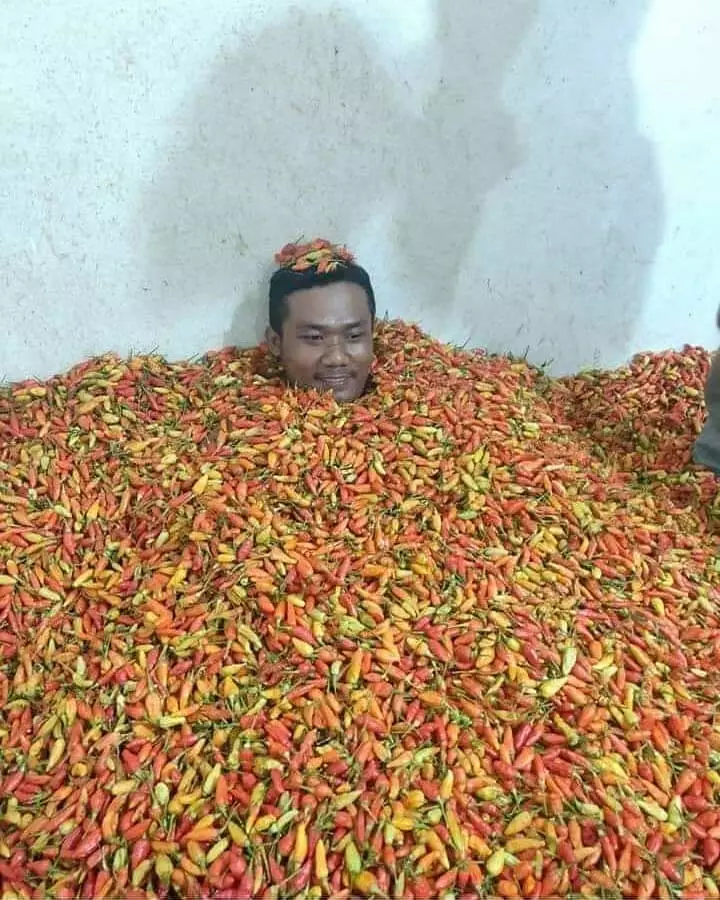 momen lucu malas kerja © 2020 instagram.com momen lucu malas kerja © 2020 instagram.com