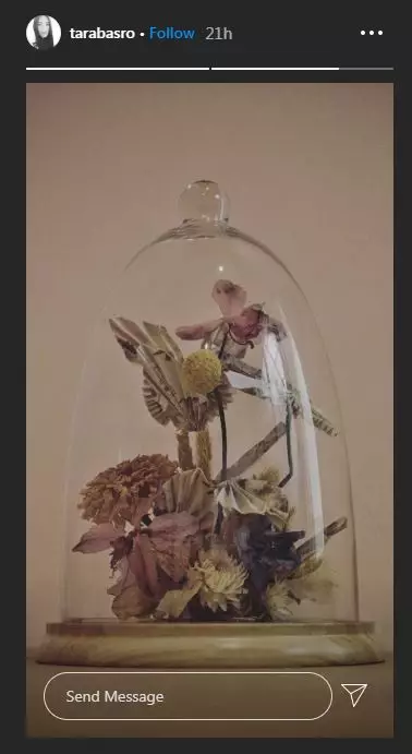 makna dibalik mahar unik tara basro instagram