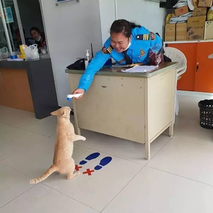 aksi kocak cek suhu Instagram