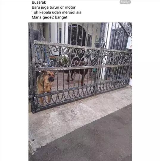 Status Facebook driver ojek online berbagai sumber