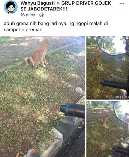 Status Facebook driver ojek online berbagai sumber