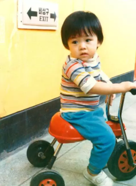 transformasi son ye jin Berbagai Sumber