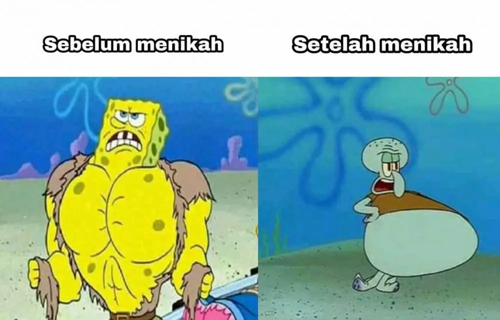 Meme setelah menikah Berbagai sumber