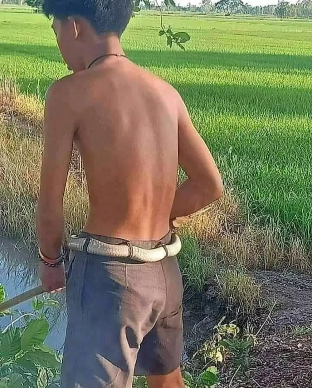 penampakan benda menipu mata © 2020 instagram.com