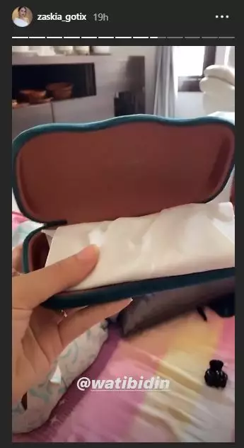 Instagram/@zaskia_gotix © 2020 brilio.net