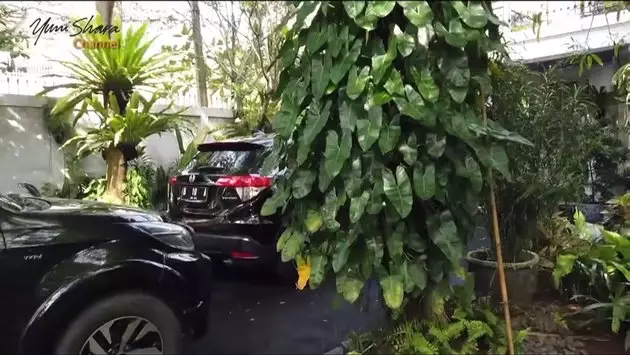 halaman rumah Yuni Shara berbagai sumber halaman rumah Yuni Shara berbagai sumber