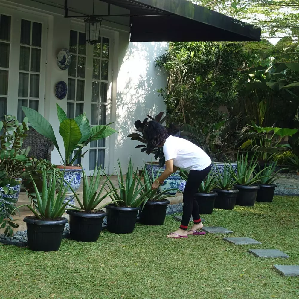 halaman rumah Yuni Shara berbagai sumber halaman rumah Yuni Shara berbagai sumber