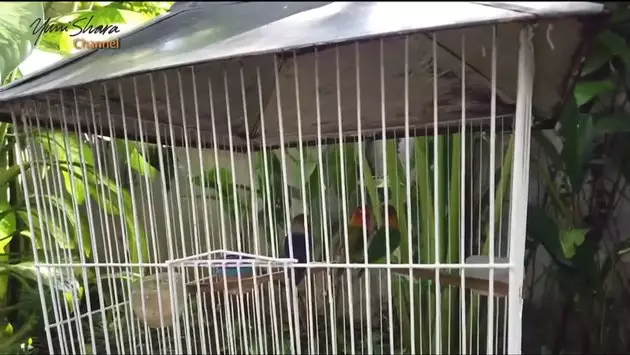 halaman rumah Yuni Shara berbagai sumber halaman rumah Yuni Shara berbagai sumber