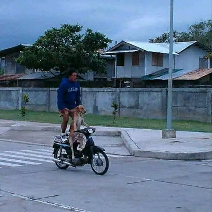 momen absurd pengendara motor © 2020 instagram.com momen absurd pengendara motor © 2020 instagram.com