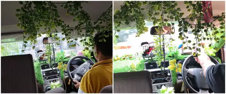 Interior taksi online ini dipenuhi tanaman hias, alasannya tak terduga