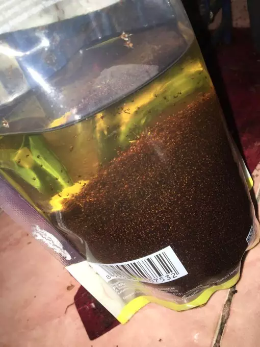 semut dalam minyak Twitter semut dalam minyak Twitter