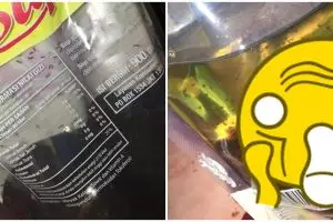 5 Penampakan semut dalam minyak goreng ini bikin merinding