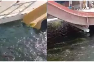 Sepi pengunjung, kolam renang di Bogor ini diubah jadi kolam lele