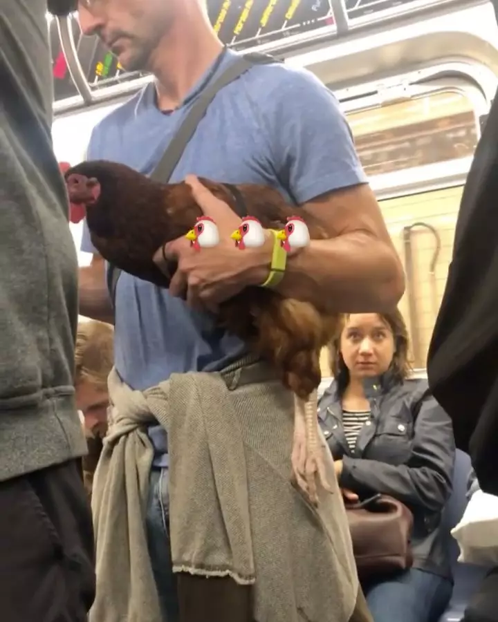 penumpang bawa hewan di kereta Berbagai Sumber