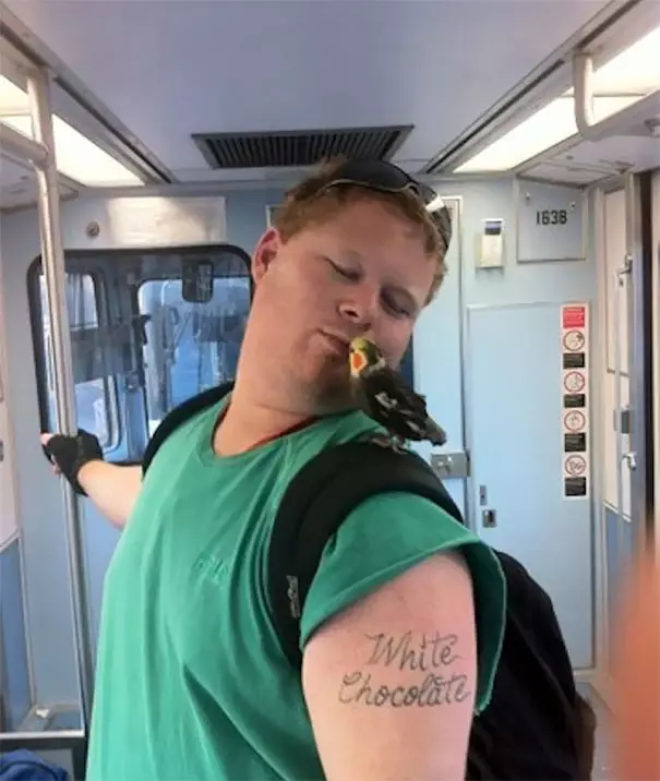 penumpang bawa hewan di kereta Berbagai Sumber