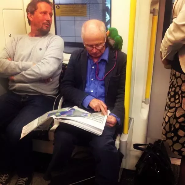 penumpang bawa hewan di kereta Berbagai Sumber