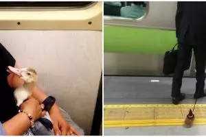 15 Potret lucu penumpang bawa hewan di kereta, ada marmut