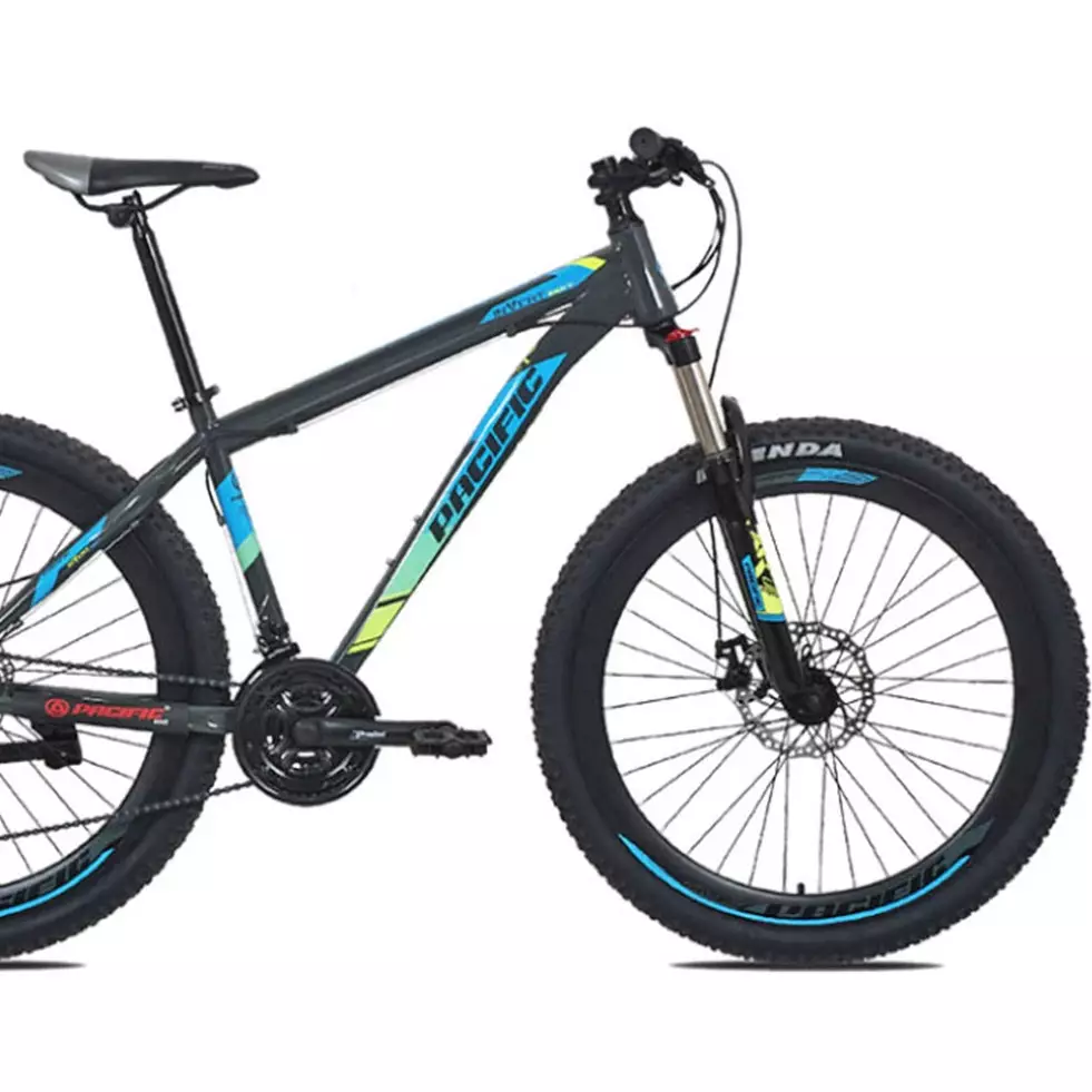 Harga sepeda Pacific Invert 100 dan spesifikasi, keren dan tangguh