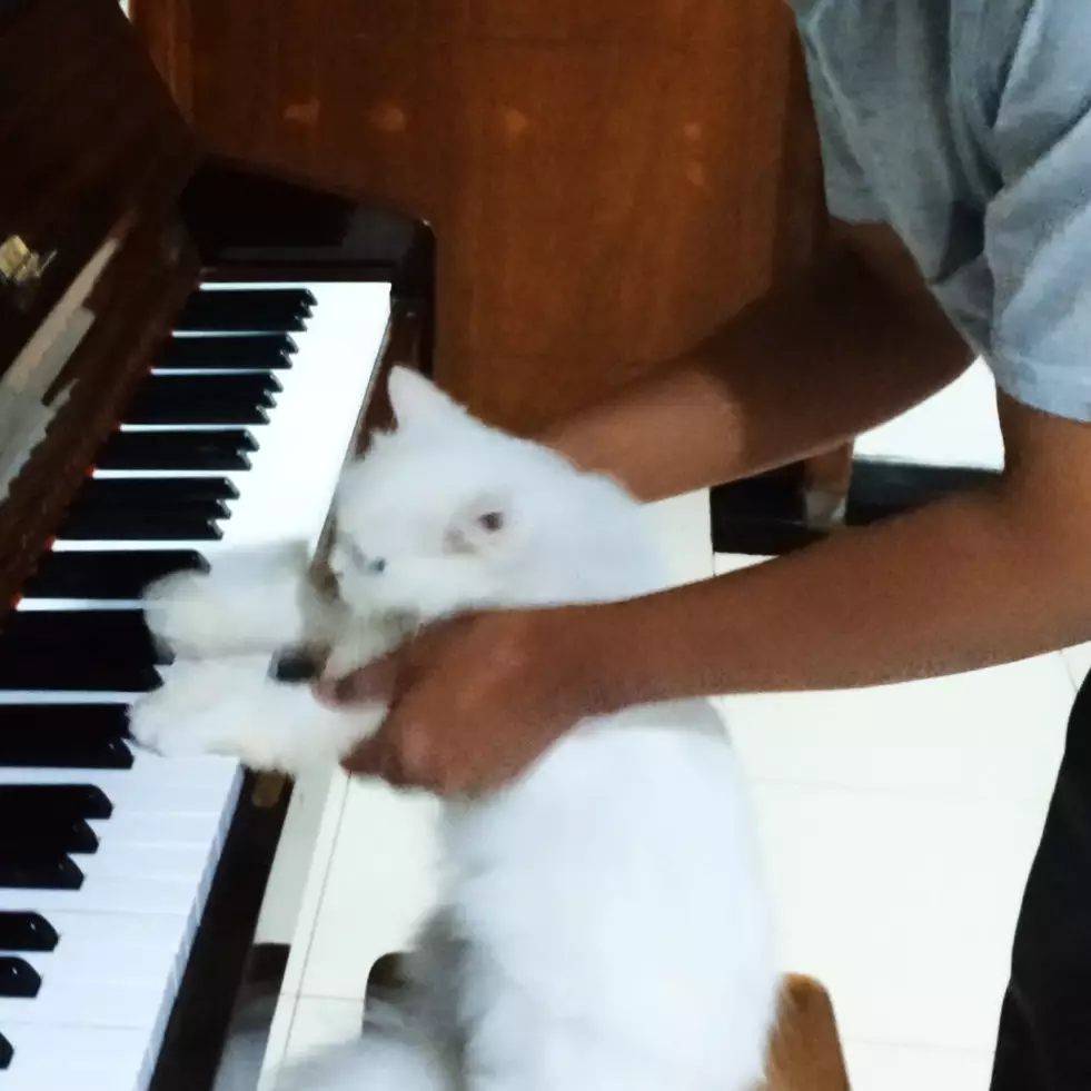 10 Momen lucu bapak-bapak momong kucing, tingkahnya ada-ada aja