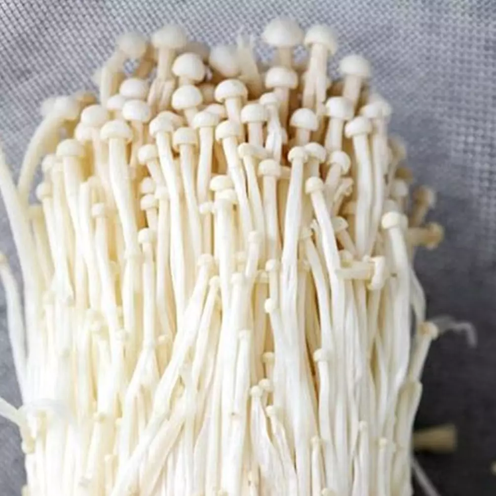 Jadi penyebab virus listeria, ini 6 fakta jamur enoki
