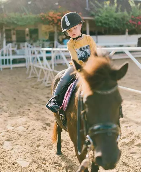 stefan berkuda Instagram