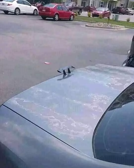 Kelakuan nyeleneh anak otomotif Berbagai sumber