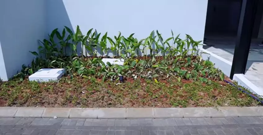 Potret rumah baru Marsha Tengker © 2020 brilio.net Potret rumah baru Marsha Tengker © 2020 brilio.net