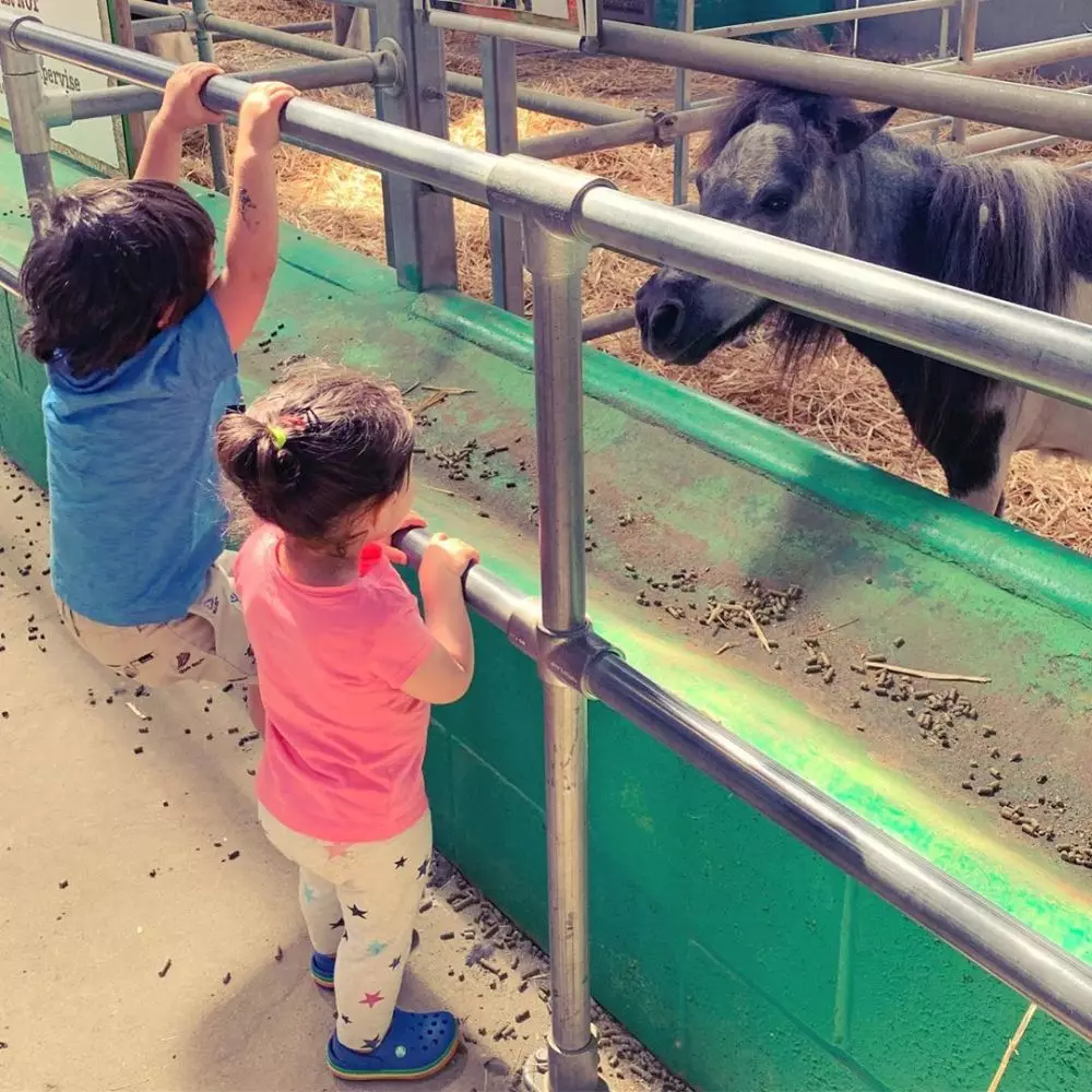 Potret kompak Taimur dan anak Soha Ali khan © 2020 brilio.net