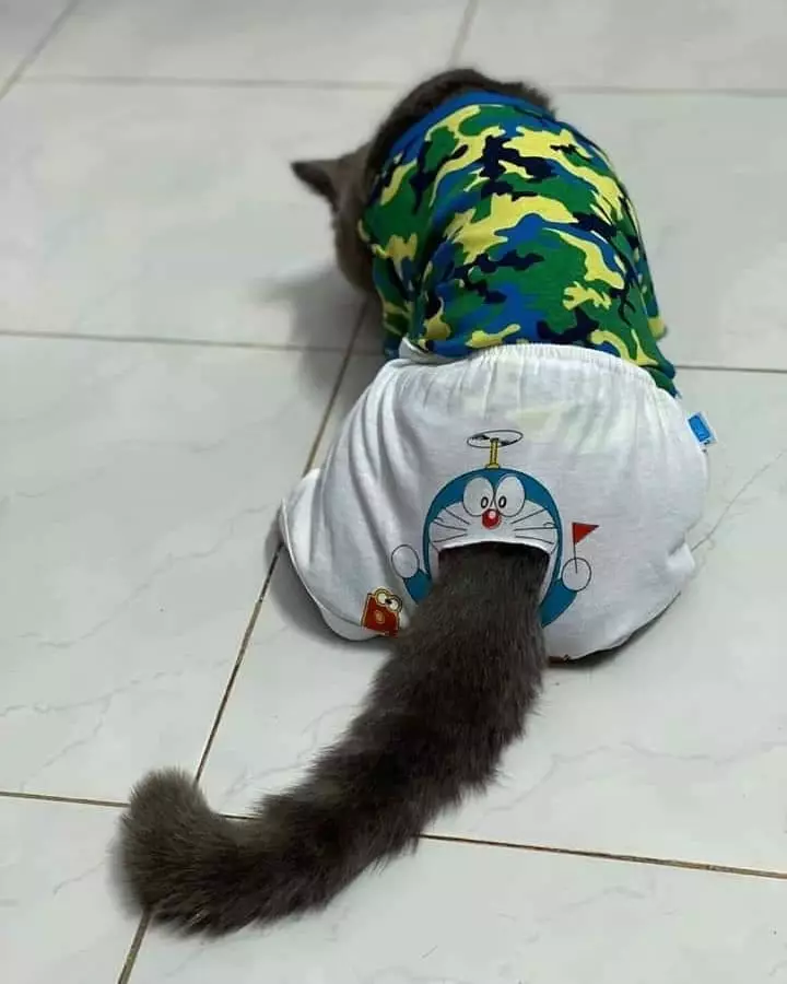 ide kreatif bikin celana © 2020 1cak.com ide kreatif bikin celana © 2020 1cak.com