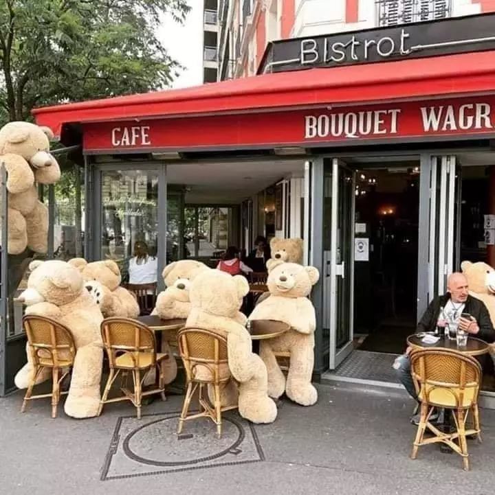 Teddy bear di paris © 2020 brilio.net