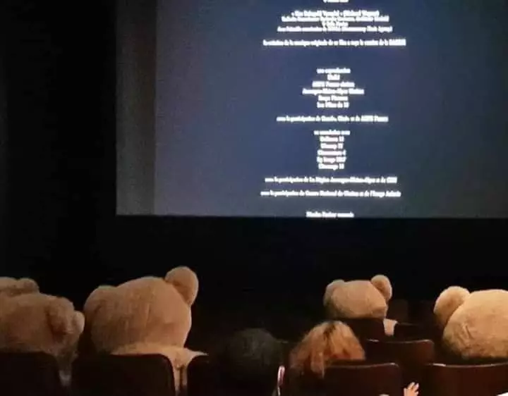 Teddy bear di paris © 2020 brilio.net