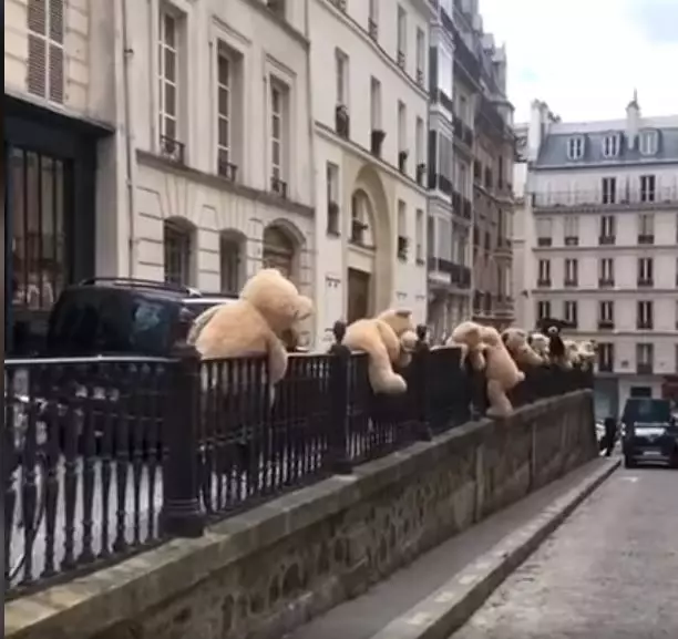 Teddy bear di paris © 2020 brilio.net