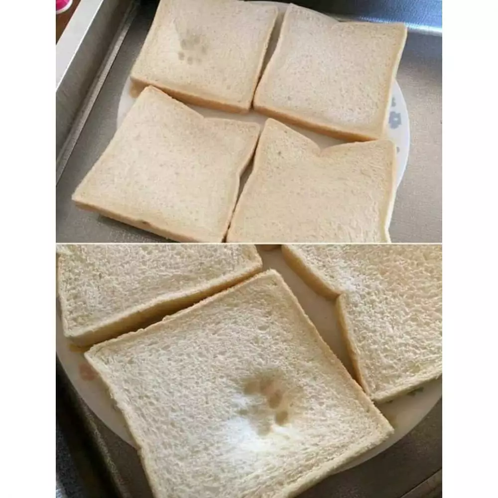 momen apes waktu masak © 2020 instagram.com