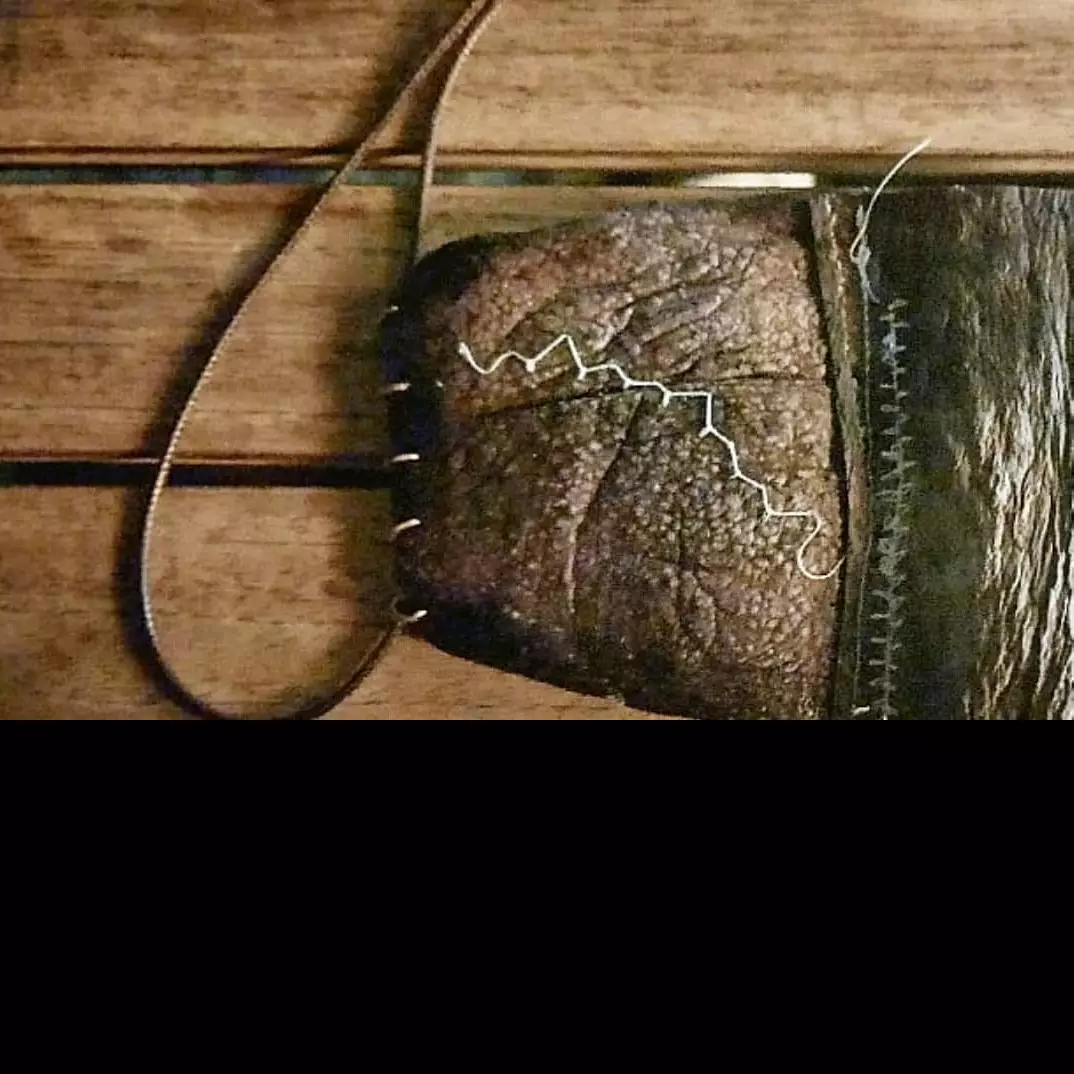 Chef asal Yordania bikin masker dari kulit terong, keren