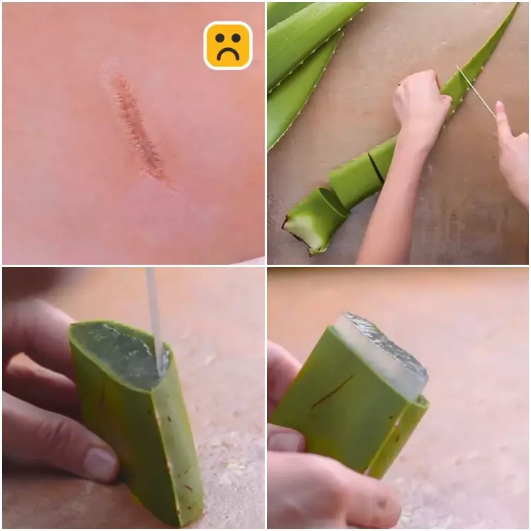 Lifehack merawat tubuh alami Twitter/@BlossomHacks Lifehack merawat tubuh alami Twitter/@BlossomHacks