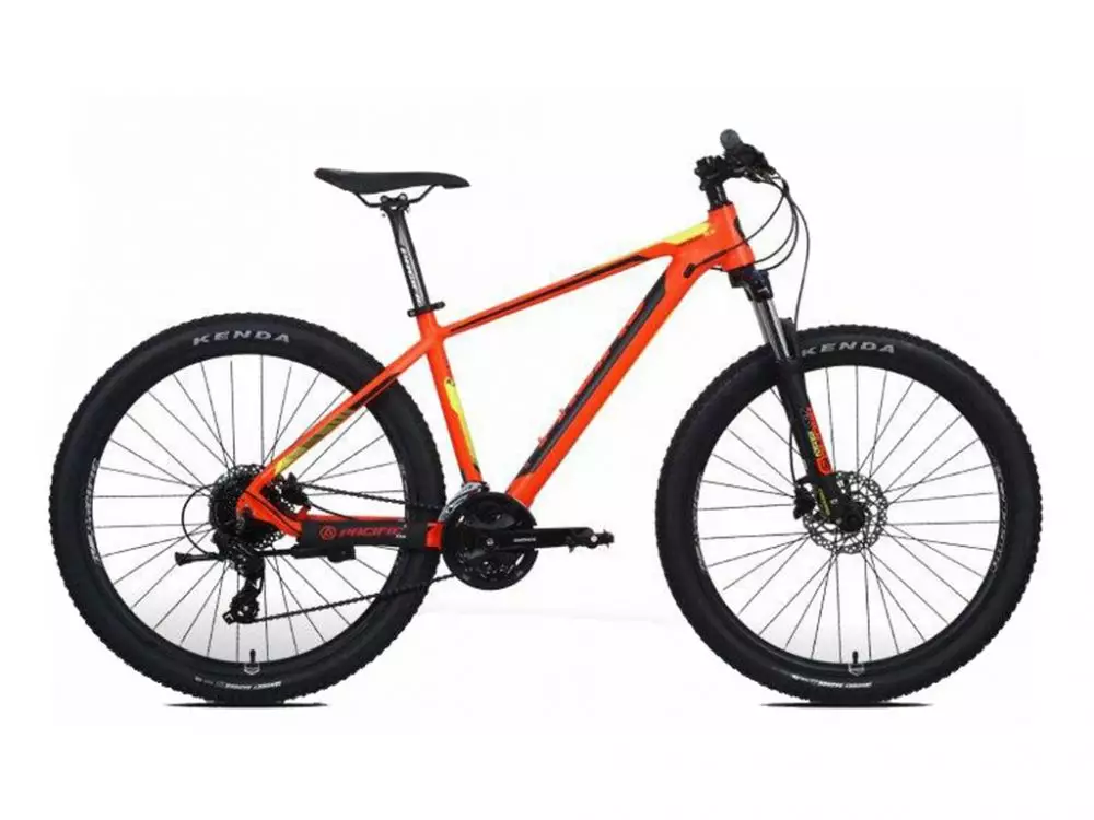 Pacific Tranzline © 2020 brilio.net pacific-bike.com  Pacific Tranzline © 2020 brilio.net pacific-bike.com