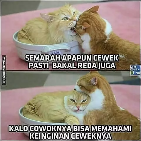 meme lucu lika-liku percintaan © 2020 instagram.com meme lucu lika-liku percintaan © 2020 instagram.com