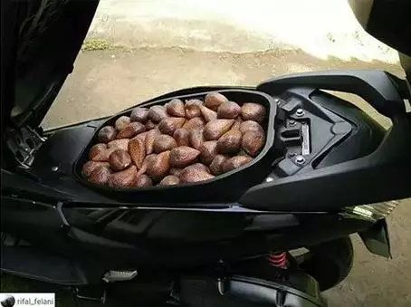 aksi lucu manfaatkan bagasi motor Instagram