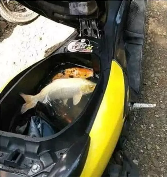 aksi lucu manfaatkan bagasi motor Instagram