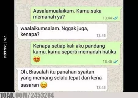 Chat WA dari buaya darat berbagai sumber Chat WA dari buaya darat berbagai sumber